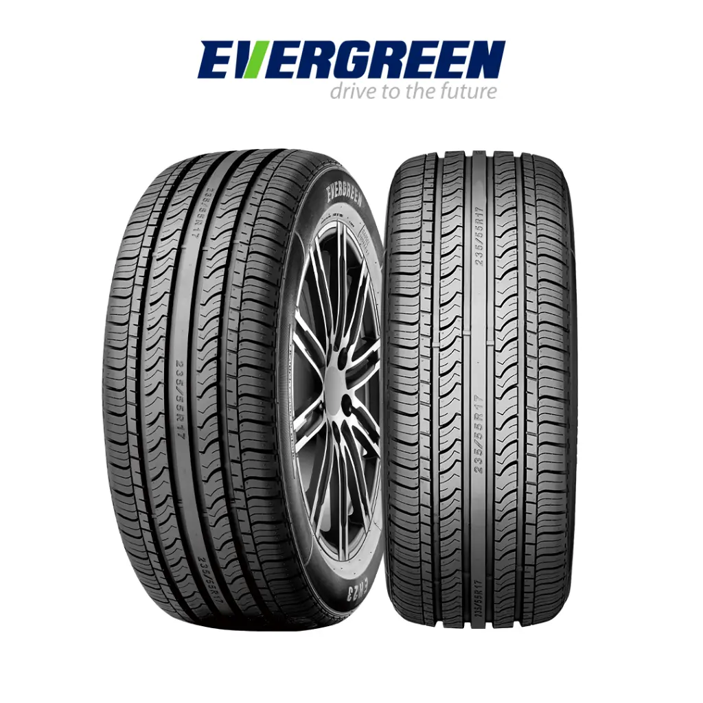 PNEU EVERGREEN EH23 215/65 R16 98H