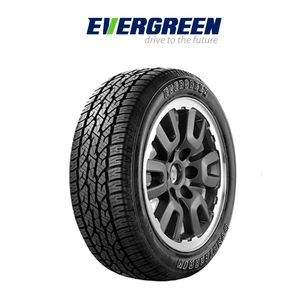 PNEU EVERGREEN 265/60R18 110T ES90